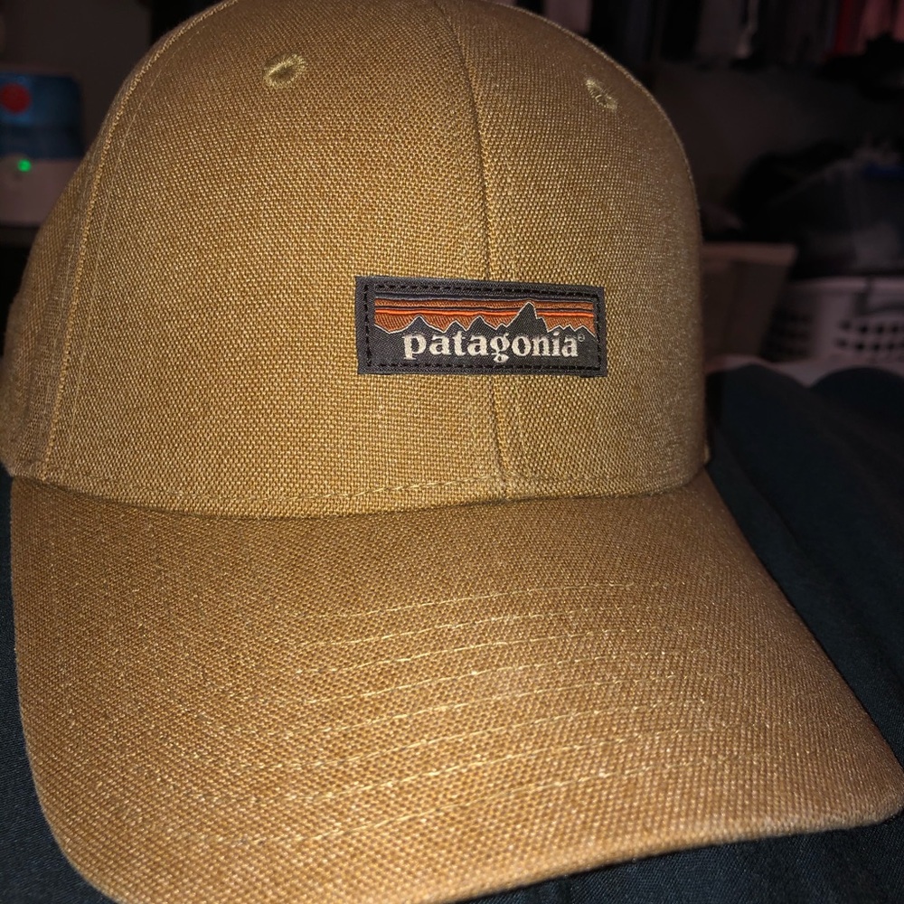 Brown Patagonia snap back